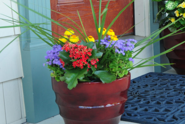 Planters